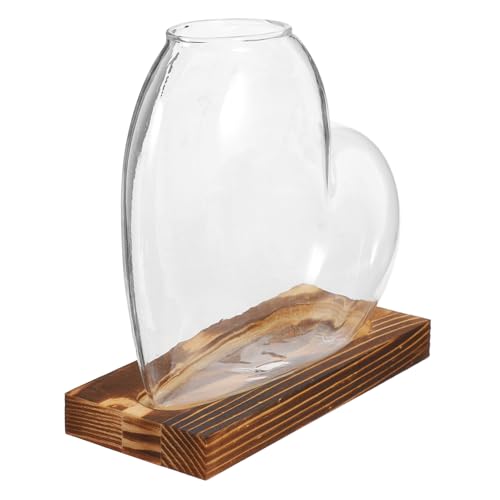 CANIGHT hydroponische Vase Rahmenvase Hausvase Wasserflaschenvase Innenvase Tischvase Hydrokulturvase Hydroponische Blumenvase Ausbreitungsstationen Desktop-Pflanzgefäß Glas Transparent von CANIGHT