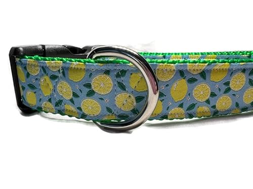 Fruit Hundehalsband, 2,5 cm breit, Nylon, seitliche Schnalle, Größe M, L (38,1–55,9 cm, Zitronen) von CANINEDESIGN QUALITY DOG COLLARS