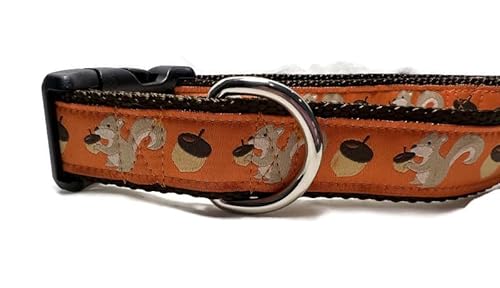 Hundehalsband, Herbst, 2,5 cm breit, verstellbar, Nylon, Größe M und L (Eichhörnchen, Größe L 38,1–55,9 cm) von CANINEDESIGN QUALITY DOG COLLARS