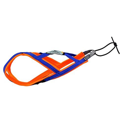 CANIbale dogsport NOpain Harness |CB6681| Zuggeschirr handgenäht in Deutschland, Größe:1 von CANIbale dogsport