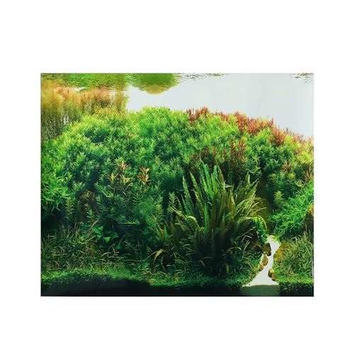 CAPASTEC Aquarium-Hintergrund, Meeresposter, doppelseitig, Meereskorallenfische, Hintergrunddekor-Aufkleber für Aquarium, 32 x 30 cm, mehrfarbig von CAPASTEC
