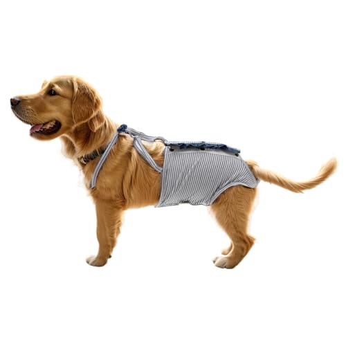 CAPASTEC Hund Windeln, Physiologische Hose mit verstellbarem Riemen, S, Grau Weiß von CAPASTEC