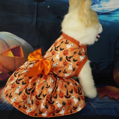 Gemütliches Halloween-Kleid für kleine Hunde und Katzen, bezauberndes Fledermaus-Kürbis-Design, zur Feier der Weihnachtszeit (S) von CARMOTTER