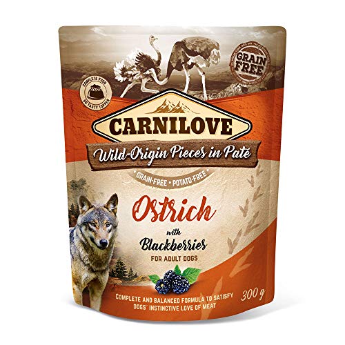 Carnilove Dog Strauß & Brombeeren 300g von CARNILOVE