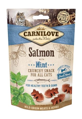 Carnilove Feline Crunchy Snack Lachs, Minze, 10 x 50 g, 500 g von CARNILOVE