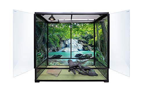 CAROLINACUSTOMCAGES Carolina Custom Cages Terrarium, Extra-Hoch Groß 36Lx18Dx36H, Easy Assembly von CAROLINACUSTOMCAGES