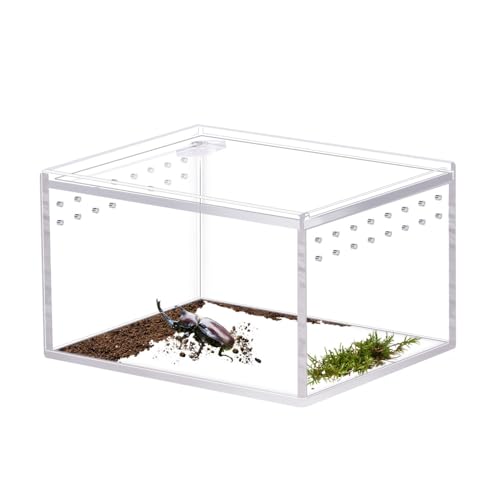 Terrarium, Acryl Eidechsen Aufzuchtbox Reptilien Futterbox für Reptilien Amphibien von CARPJZ