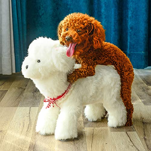 CASEGO Der Plüsch-Begleiter für männliche Hunde mit Saugnapf, geeignet für Teddy Bulldogge und andere kleine und mittelgroße Hunde (13 cm) von CASEGO