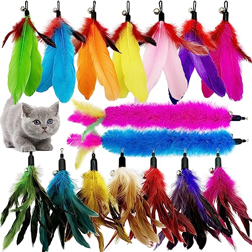 CATENEED Cat Feather Toys Replacement Cat Toy Wand Refills, 16 PCS Feathers Cat Toy Refill, Cat Wand Attachments Feathers for Cat Toys von CATENEED