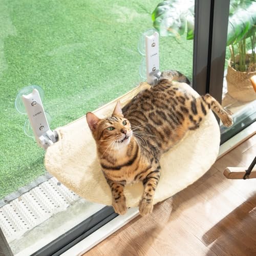 CATISM Katzen Hängematte Fensterplätze für Katzen, 50x36.5cm Klappbar Halbkreisförmig Katzenbett Fenster Katzen Fensterliege mit Stabil Saugnäpfe, Beige von CATISM