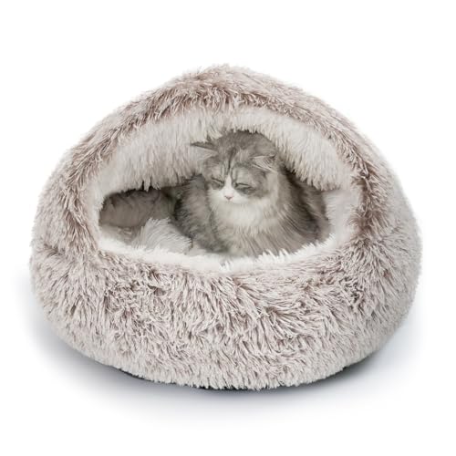 CATISM Katzenbett Waschbar Katzenschlafplatz für Katzen Plüsch Haustier Katzenkopfkissen Katzenkissen Flauschiges Kätzchen Welpen Kuschelbett Haustierbett 60cm Kaffee von CATISM