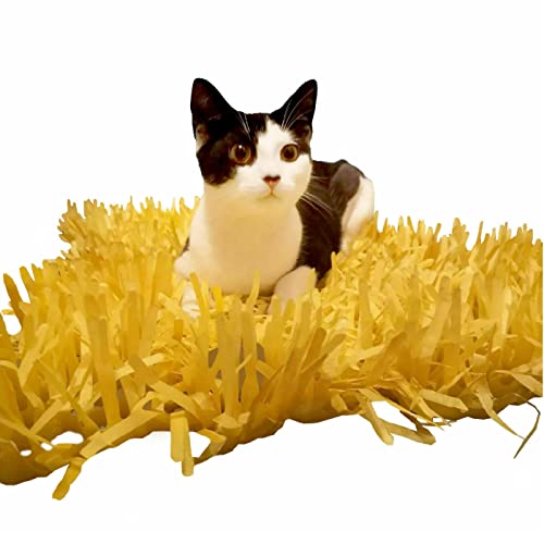 CATMAT - Katzenpapiergras Seidenpapier Katzenmatte, Katzenspielmatte, Katzenspielgras, Papier Katzengras Fälschung, Katzenspielzeug Gras, Katzenmatte Seidenpapiergras für Katzen, Katzengras für von CATMAT