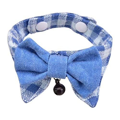 CATSPIA CASA-SC9419-BL-L Hobbes Katzenhalsband, L, blau von CATSPIA