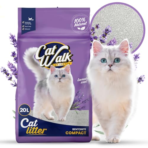 CatWalk Lavendel Katzenstreu | 20L - Einzelpack | 100% Bentonit, klumpend, Geruchskontrolle, Frischer Lavendelduft, hohe Saugkraft| von CATWALK