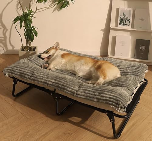 CAULO Erhöhtes Hundebett für große Hunde. Erhöhtes Hundebett mit Hundematratze und Hundebettrahmen, tragbares Haustierbett, waschbarer Netzbezug (89 * 61 * 20cm) von CAULO