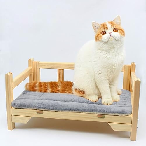 CAULO Katzenbett aus massivem Holz für alle Jahreszeiten, schmutzabweisendes, bodenfreies Katzenbett für kleine mittelgroße Katzen/Hunde mit Daunenkissen von CAULO