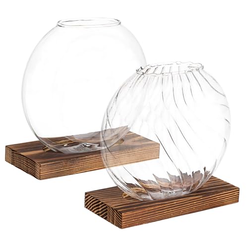 CAXUSD Stabiles Glasvasen-Set Pflanzen-Terrarium Glas für Hydrokulturpflanzen 2 Stück von CAXUSD