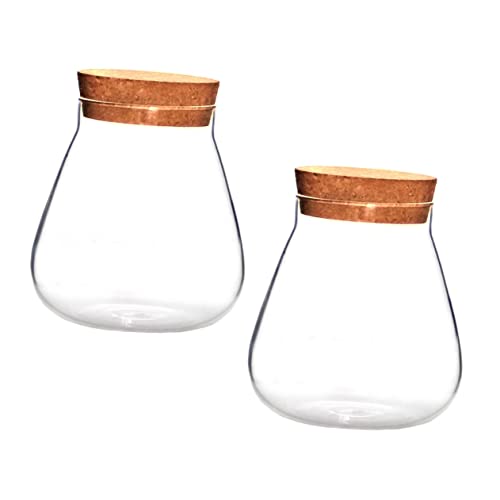 CAXUSD 2St Flasche aus Korkglas aufbewahrungs gläser kaminregal Candy jar badewane Mikrolandschaft Terrarium Sukkulenten Terrarium Anlage Blumentöpfe ökologische Flasche Display-Topf Holz von CAXUSD