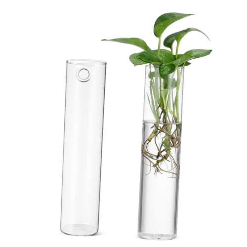 CAXUSD 2st Wandvase Pflanzgefäß Zur Wandvermehrung Pflanzenvermehrungsröhren Vase Für Vermehrte Pflanzen Blumenrohrvase Mittelstücke Wandmontierte Pflanzgefäße Matte Vase Transparent Glas von CAXUSD