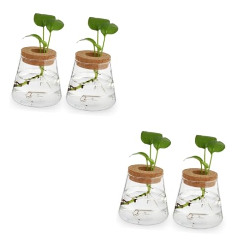 CAXUSD 4 Stück Eco-Flasche Blumentopf büropflanzen pflanzenkübl terrarium halter Vase mit Blumenständer Blumenvasen Heimdekorationen hydrokulturpflanzen terrarium Pflanzenterrarium Glas von CAXUSD