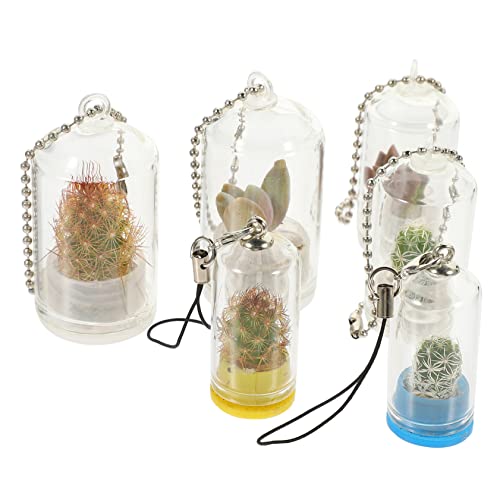 CAXUSD 6St Schlüsselanhänger künstlich Zwiebelvase Pflanzenschmuck klarer Behälter Gefälschte Pflanzen groß Gracy microanlagen saatstreuer Hängendes Terrarium aus Glas Mini-Pflanzenhalter von CAXUSD