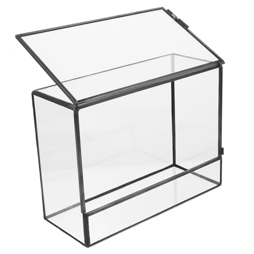 CAXUSD Kasten Glas-landschaftstank Moos Landschaft Container Pflanzenterrarium Pflanzenetui Ökologischer Halter Displayhalter Im Querformat Glasterrarien Für Pflanzen Tischschmuck Zinn von CAXUSD