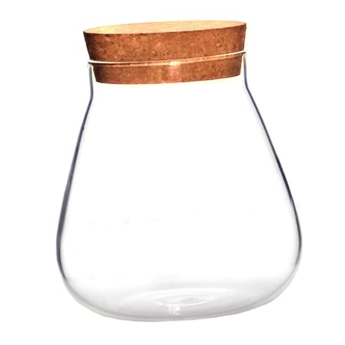 CAXUSD Kork Stopper Glas Flasche Ornament Anlage Terrarium Glas Dekorative Vase für Hause von CAXUSD