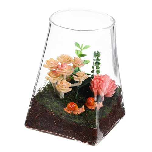 CAXUSD Ökologische Mikrolandschaftsflasche Pflanzenterrarium Leeres Terrarium Pflanzen Terrarium Vasentopf Pflanzenbehälter Mikro-landschaftsflasche Glas von CAXUSD