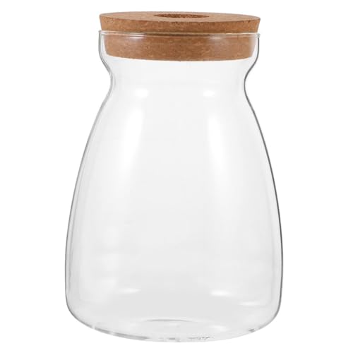 CAXUSD Ökologische Mikrolandschaftsflasche Pflanzgefäß Zur Vermehrung Blumenvase Für Hydrokultur Holzdeckel Für Vase Hydrokultur-pflanzgefäß Mit Holzdeckel Glas Transparent von CAXUSD