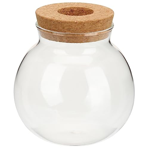 CAXUSD hydroponische Glasflasche große Wasserflasche Wasserpflanzen Vase Wasser- Tank buchregal Dekoration bürodeko Pflanzgefäß für Wasser wasserbepflanzung Terrarium hölzern Transparent von CAXUSD