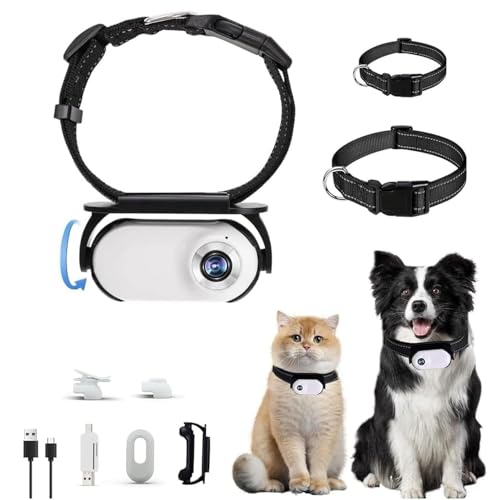 HD 1080P Katzen-Kamera-Halsband, kabellose Mini-Katzenhalsbänder, Kamera, Sport/Action mit Videoaufzeichnungen, Indoor/Outdoor, 170°-Weitwinkel, Catcam Pro (kein WLAN und keine SD-Karte) (weiß) von CBDYWVR