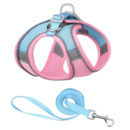 CBLdF Hundeleine Hundekatzzierweste Weste Brustseil Set Atmungsaktives Einstellbares Haustierkabel Für Kleine Mittelgroße Hunde- Blue-1-L von CBLdF