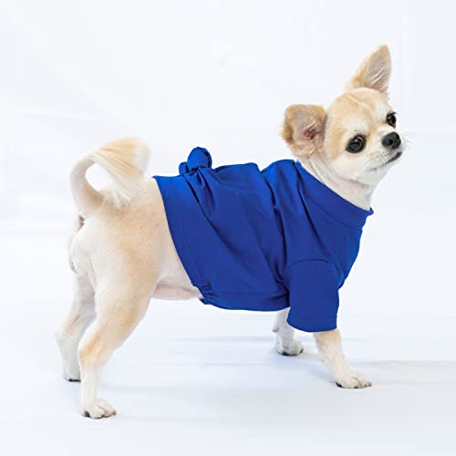 CCOCCADOG Helle und lebendige Farben von Basic, aber einzigartiges verdrehtes Hunde-T-Shirt, blau, große Haustierbekleidung, Sweatshirt, Sommer, Herbst und Winter. von CCOCCADOG