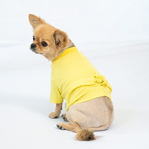 CCOCCADOG Helle und lebendige Farben von Basic, aber einzigartiges verdrehtes Hunde-T-Shirt, gelb, große Haustierbekleidung, Sweatshirt, Sommer, Herbst und Winter. von CCOCCADOG