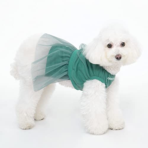 CCOCCADOG Hundeprinzessin Kleid Grün 2XLarge, Hund Tutu Rock, Tüll Rüschen Kleid, Exquisit und Mode, Perfekt für Partys und andere Anlässe für kleine bis mittelgroße Hunde. von CCOCCADOG