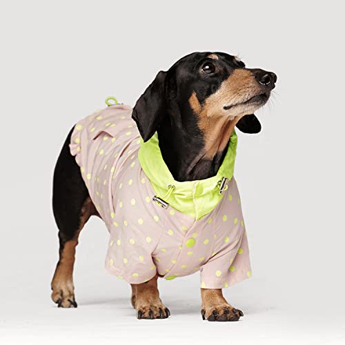 CCOCCADOG Leichte Hundejacke mit Kapuze, Gelb, DLarge, Loch für die Leine, leichte Outdoor-Haustierkleidung, kühles Wetter, für kleine und mittelgroße Hunde, erhältlich in Dackel-Größe. von CCOCCADOG