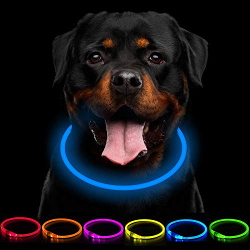 CCWW LED Leuchthalsband Hunde Halsband USB wiederaufladbar - Längenverstellbarer Haustier Sicherheit Kragen für Hunde und Katzen- 3 Modus von CCWW