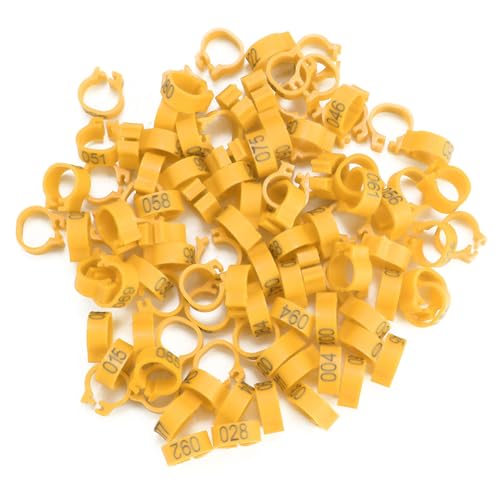 CCYLEZ Ringe, Clip-Design Kunststoff 100PCS Beinbänder für Buchstaben (gelb) von CCYLEZ