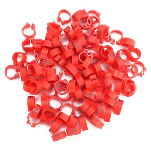 CCYLEZ Ringe, Clip-Design Kunststoff 100PCS Beinbänder für Buchstaben (rot) von CCYLEZ