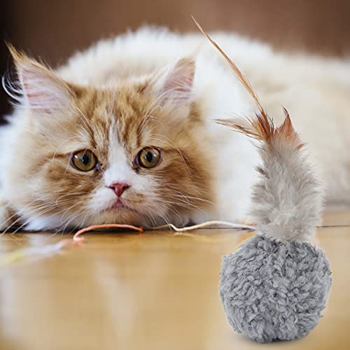 Katze Plüschball mit Feder Plüschball mit Feder für Kätzchen Katze von CCYLEZ