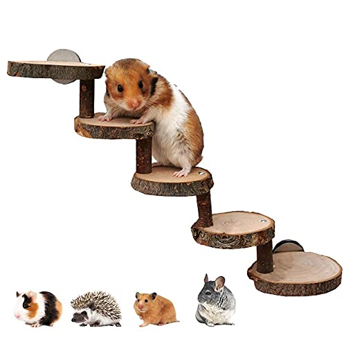 Hamster Spielzeug aus Holz, Hamstertreppe Brücke, Hamsterleiter Naturholz, Hamstertreppe, Hölzerne Hamsterleiter, Suitable for Hamsters, Mice, Gerbils, Rats, Squirrels, Guinea Pigs, Parrots von Rkllejs