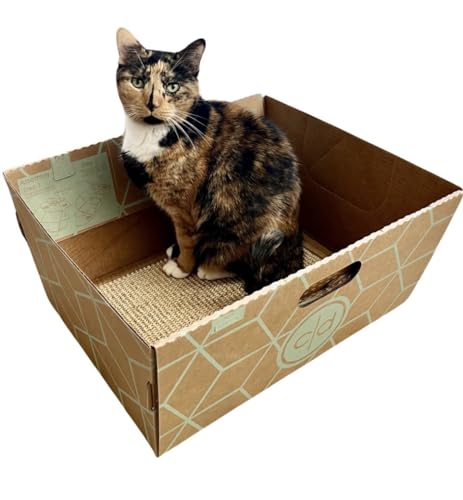 Cats Desire Katzentoilette, extra groß, robuster Karton mit Kratzunterlage und Katzenminze – zwei Ablagen können in eine geschlossene Box für alle Rassen umgewandelt werden – 48,3 x 43,2 x 43,2 cm von CD CATSDESIRE
