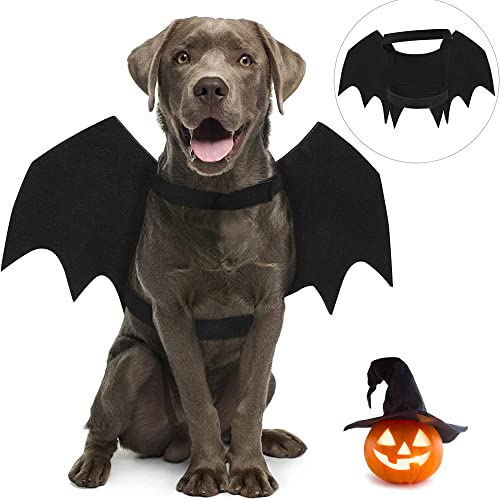 CEASELESLY Haustier Fledermausflügel,Halloween Haustier Kostüm,Katze Hund Fledermaus Kostüm,Halloween,Hundekostüme,Party,Cosplay,Dekoration,Schwarze Bekleidung für große Katzen Hunde(schwarz,groß) von CEASELESLY