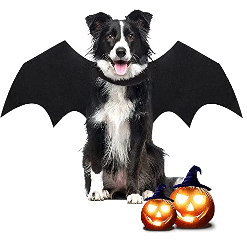 CEASELESLY Halloween kostüm Hunde groß,Haustier Hund Fledermaus,Fledermausflügel,Großer Hund Cosplay Fledermaus Kostüm,Halloween Kostüm Schwarze Fledermaus Großer Hund Vampir Cosplay Kostüm von CEASELESLY