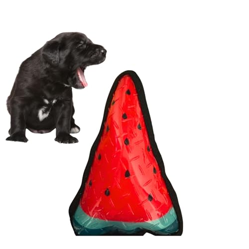 CECE PAW Hundespielzeug Popsicle Pack Wasserspielzeug (eine Packung, Wassermelone) von CECE PAW