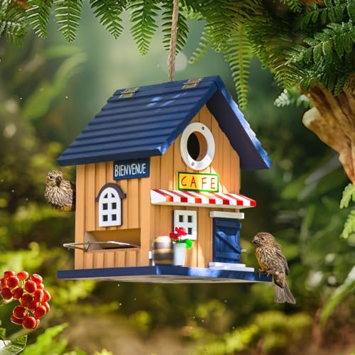 2-in-1 Cafe Bluebird House und Vogelfutterstation – 2 Optionen Eingangsgröße – Edelstahl-Sitzstange + Scharniere – abnehmbarer Schutz – Blauvögel, Spatzen, Küken Vogelhaus für Pfosten 2024 von CEDAR ALPHA