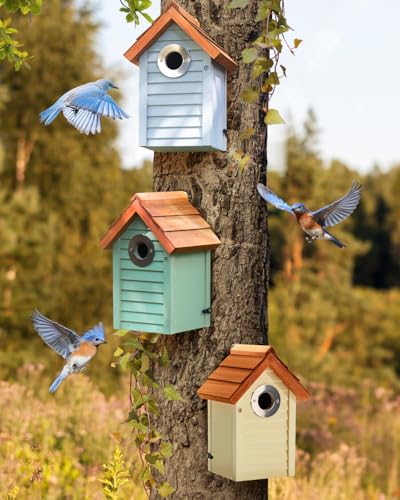 3 Stück Zedernholzschindeln Bluebird House, Strandhaus Stil Vogelhaus für draußen, Vintage-Stil, Edelstahl-Eingangslochschutz, bunte Gartendekoration von CEDAR ALPHA