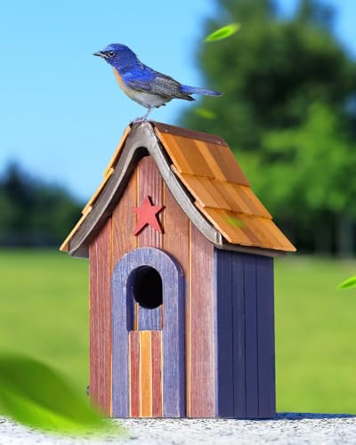 Patriot Bluebird Haus mit Schindeln Dach, langlebiges Zedernholz Vogelhaus für den Außenbereich, 3,8 cm Eingang Standard für Blau Auch atract Zaunkönig, Baumschwalbe, Küken Ihre Wunschvogelarten von CEDAR ALPHA