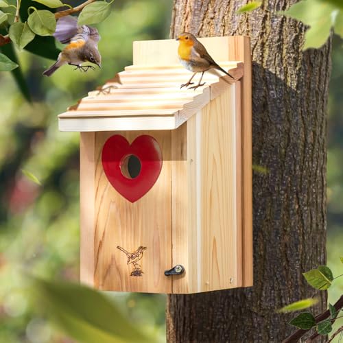 Vogelhaus-Raubfischschutz, 2,8 cm Lochgrößen, Herz, schließt verschiedene Vogelarten aus, schützt das Eingangsloch, 1 Stück von CEDAR ALPHA