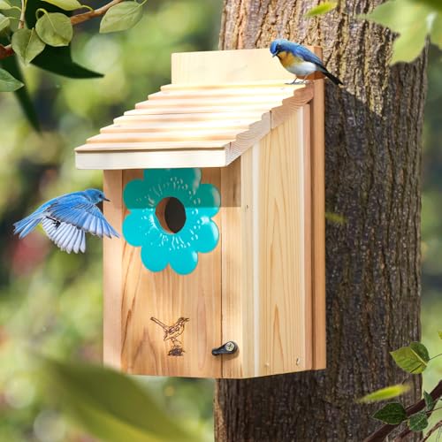 Vogelhaus-Raubfischschutz, 3,4 cm Lochgrößen, blaue Blume, schließt verschiedene Vogelarten aus, schützt das Eingangsloch, 1 Stück von CEDAR ALPHA